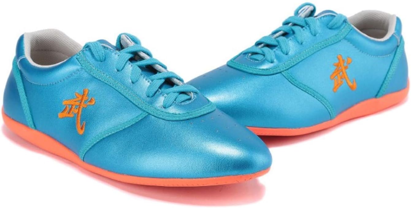 BJSFXDKJYXGS Leather Tai Chi Shoes Martial Arts Kung fu Shoes Chi Kung Shoes Martial Arts Boxing Shoes