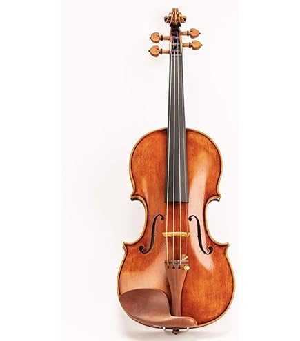 Amazon.com: D Z Strad Model 512 Violin 4/4 Full Size Professional