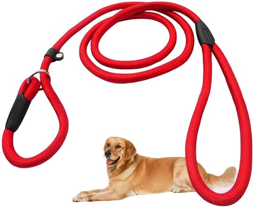 nylon slip leads for dogs