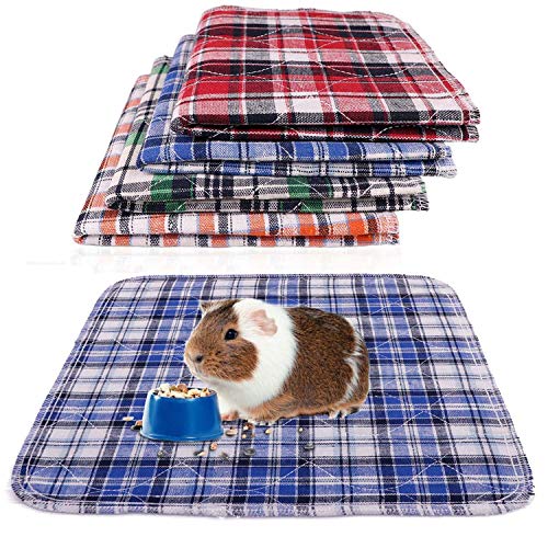 absorbent layer for guinea pigs