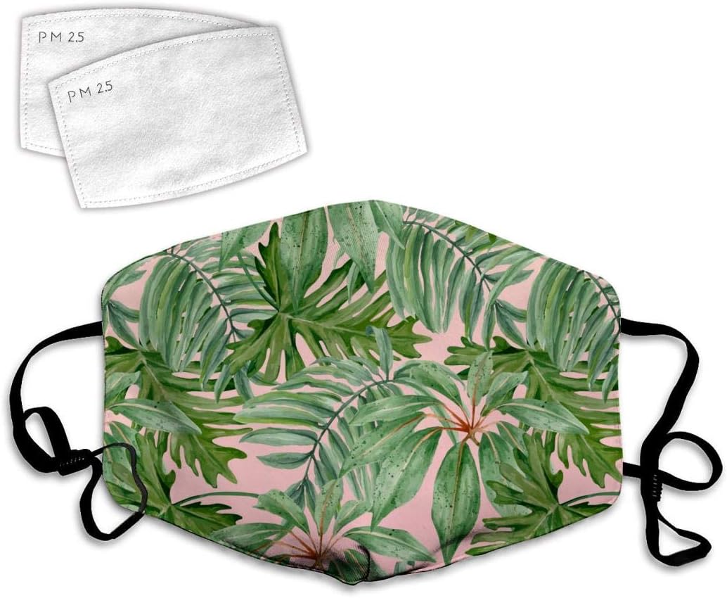 Palm Desktop Face Dustproof Adjustable Mouth Washable with Filter Paper