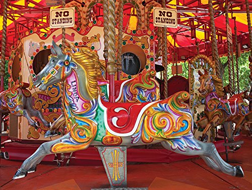 Merry Carousel 500 Piece Colorluxe Puzzle