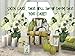 Spa Gift Basket, PURE Spa Basket -Bath and Body Gift Set, Includes Shower Gel, Body Lotion, Bubble Bath, Body Scrub & Bath-Body Sponge. #1 Holiday Gift Baskets for Women! (Premium XL)