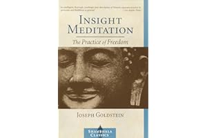 Insight Meditation: The Practice of Freedom