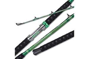 Fiblink Catfish Fishing Rod 1 Piece/2 Piece Catfishing Fishing Pole Portable Travel Heavy Cat Catfish Casting Rod (6'/6'6"/7'