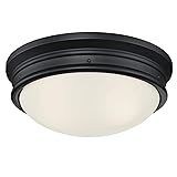 Westinghouse 6578100 Meadowbrook 13 inch