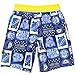 Nickelodeon Paw Patrol Paw Patrol Boys Swim Trunks Swimwear (4, Paw Patrol Blue)