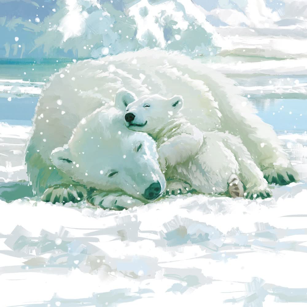 Museums & Galleries Charity Christmas Cards - Winter Warmer Polar Bear and Cub - Eco-Friendly & Recyclable - Pack of 8 Cards