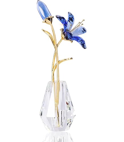 SWAROVSKI Crystal Young Ballerina : Amazon.ca: Home