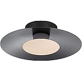 Golden Lighting Yep Luma Integrated LED Flush Mount in Graphite and French Gold Shade