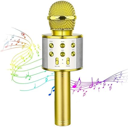 best portable microphone and speaker