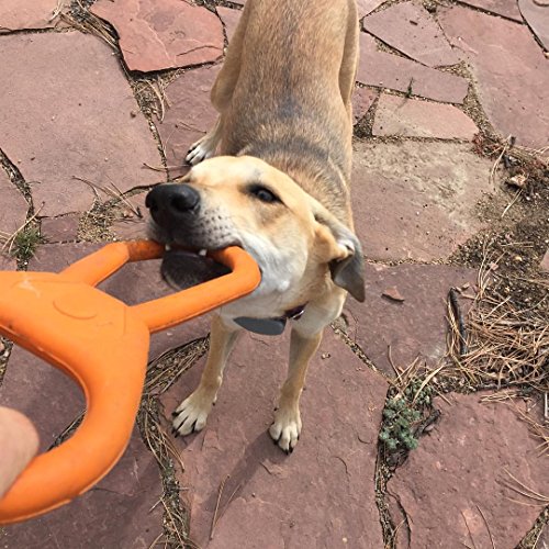 SodaPup: Tug War Dog Toys shaped like a Can Opener + Tough Dog Toys for Large Dogs, USA Made - Orange