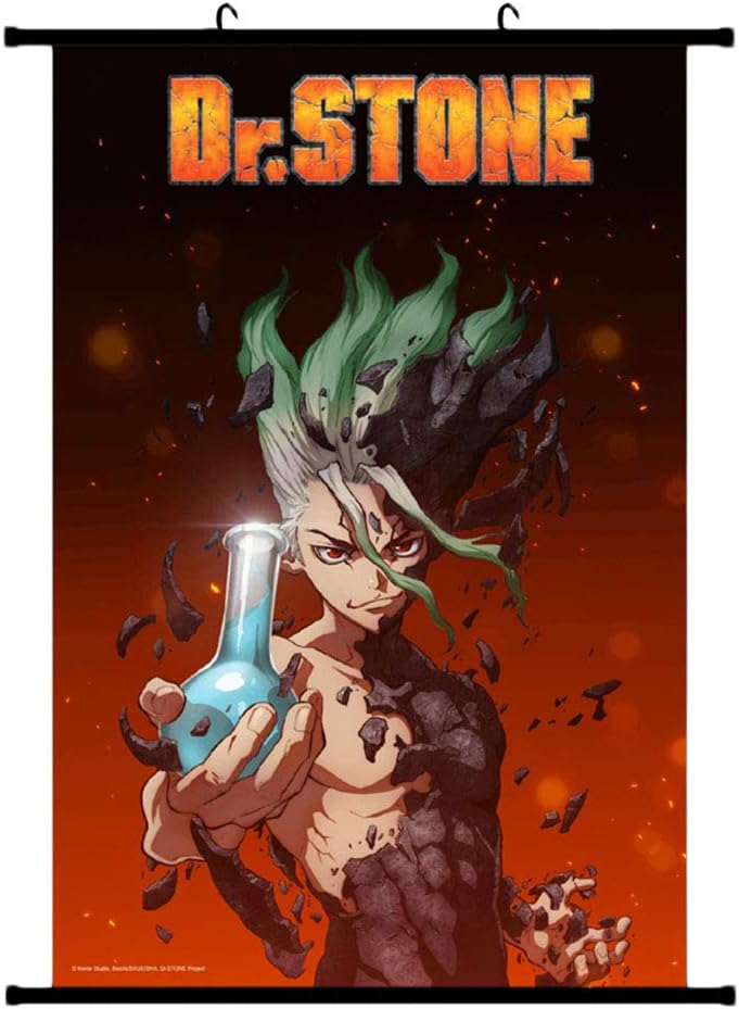 Bowinr Dr Stone Wall Scroll Poster Japanese Anime No Fading Fabric Hanging Painting For Home Decor L 40x60cm Style 01 Amazon Ca Home