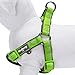 Blueberry Pet 4 Colors Soft & Comfy 3M Reflective Step-in Easter Spring Pastel Color Paddd Dog Harness, Chest Girth 15.5