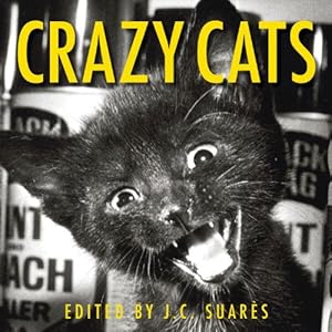 Crazy Cats