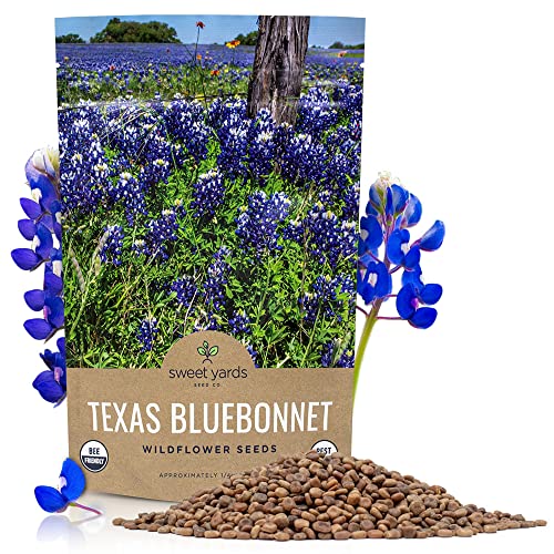 Texas Wildflower Seeds Bulk 1/4 Pound Bag Over 4,000
