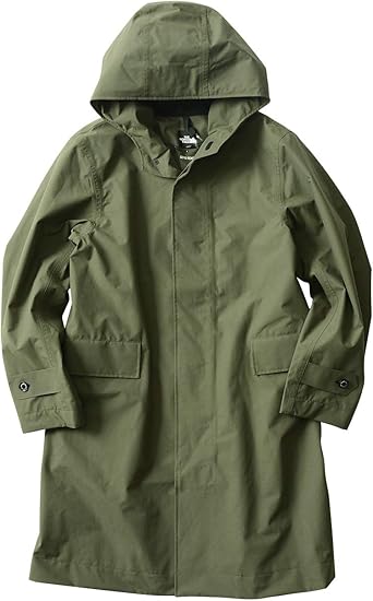 the north face bold hooded coat
