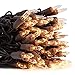 LIDORE Super Bright Clear Mini Christmas Tree String Lights, Gift for Decoration, 21.45FT 100 Count Bulbs with Brown Cord, UL Listed Indoor Outdoor Lighting for Holiday (Brown Cable, 1-Pack)
