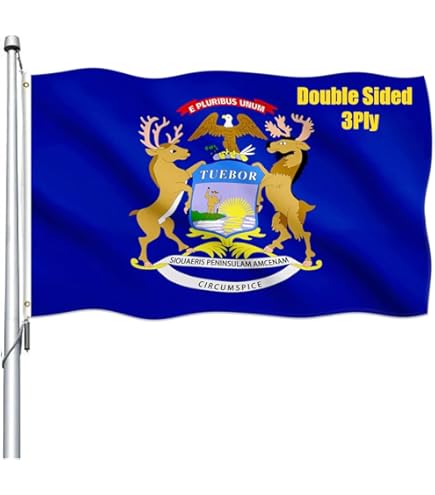 Annin Flagmakers Michigan Flag 2x3 Fuß – Offizielle Staatsflagge, 100% Made In USA, Nyl-Glo Stoff, Blau Mit Staatssiegel