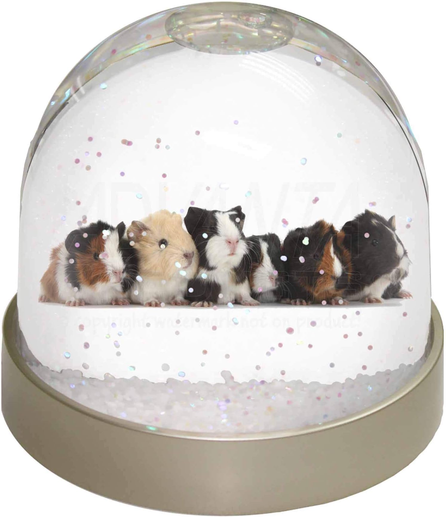 Advanta Group Baby Guinea Pigs Photo Snow Globe Waterball Stocking Filler Gift