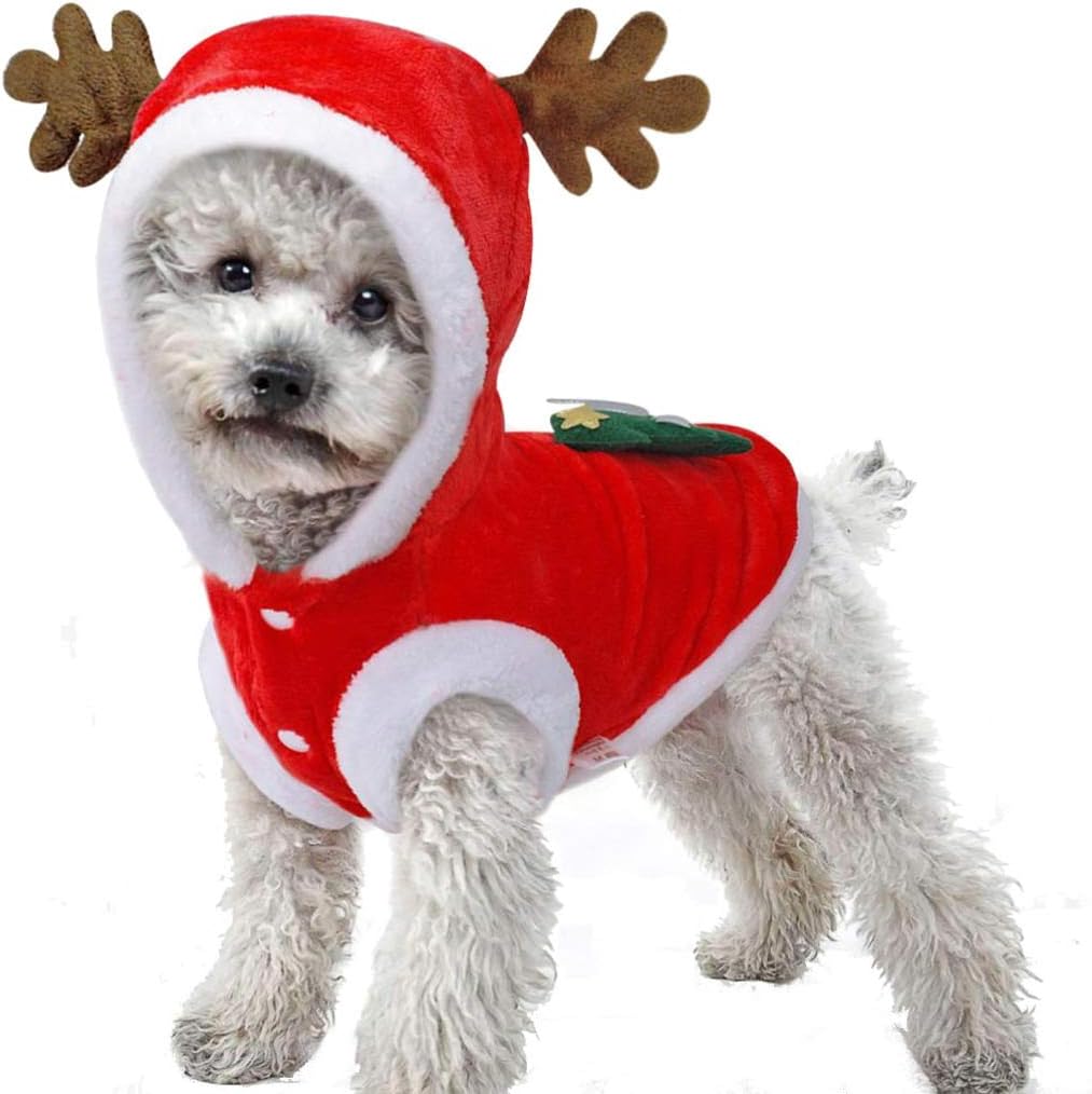 can you give a dog benadryl for swelling