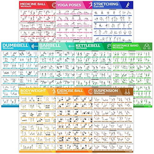 10-Pack Laminated Large Workout Poster Set - Perfect Workout Posters ...