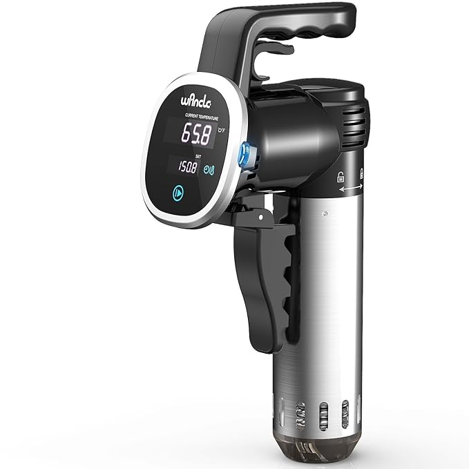 Sous Vide Cooker, Wancle Thermal Immersion Circulator, with Recipe E-Cookbook, Accurate Temperature Digital Timer, Ultra-quiet, 850 Watts, 120V, Stainless Steel/Black best sous vide cooker