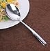 Large Serving Spoon,Gereen Set of 2 Stainless Steel Large Serving Spoon,Mirror Finish for Elegant Buffet Banquet Party Holiday Dinner serving (Set of 2)
