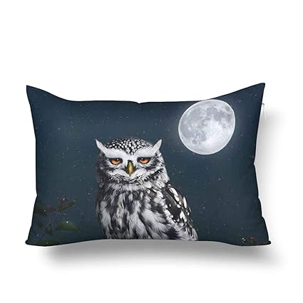 Amazon Com Guaone Owl Night Full Moon Pillow Cases Pillowcase