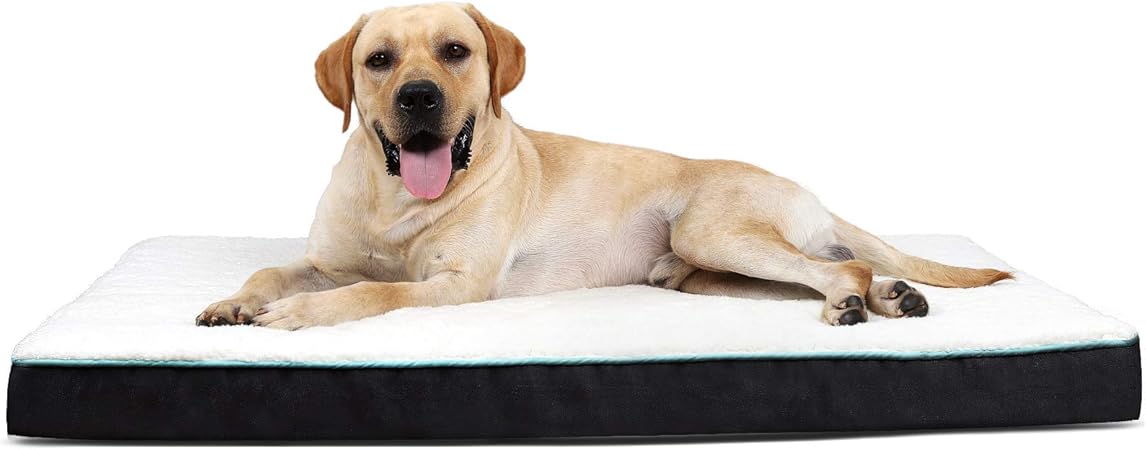 dog bed for 2 dogs