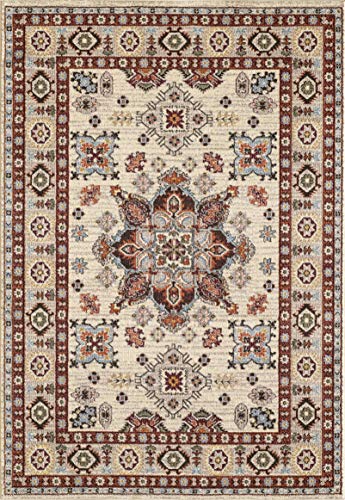 Best oriental rug living room