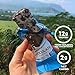 Quest Nutrition Beyond Cereal Protein Bar, Chocolate Flavor, 12g Protein, 2g Net Carbs, 110 Cals, 1.34oz Bar, 15 Count, Breakfast Bars, Low Carbs Bars, Gluten Free, Soy Free