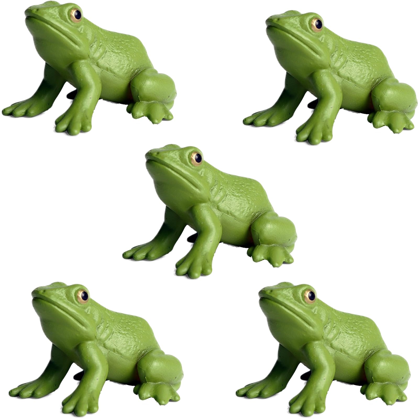 JOKFEICE Animal Figures 5pcs Realistic Frog Action Model Science Project, Learning Educational Toys, Birthday Gift, Cake Topper for Kids