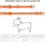 YFbrite LED Cat Collar Small Dog Collar USB Rechargeable Orange XS view 5