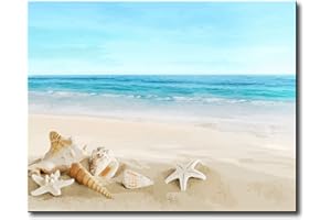 Painting Kit for Adults Painting Numbers Kit for Adult Beginner Arts Craft for Home Wall Decor - Beach Shell 16x20 Inch (With