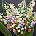 Iekofo Seed house - 100 pcs Fragrant Rarities Lilies of The Valley Flower Bulbs Multifarben Hardy Perennial