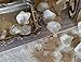Flower Girl Basket petals, Burlap wedding Confetti, Burlap Decor, Aisle rose petals, Wedding Rose Petals, Petal Decorations,Vintage Burlap table scatter, Love and burlap hearts,
