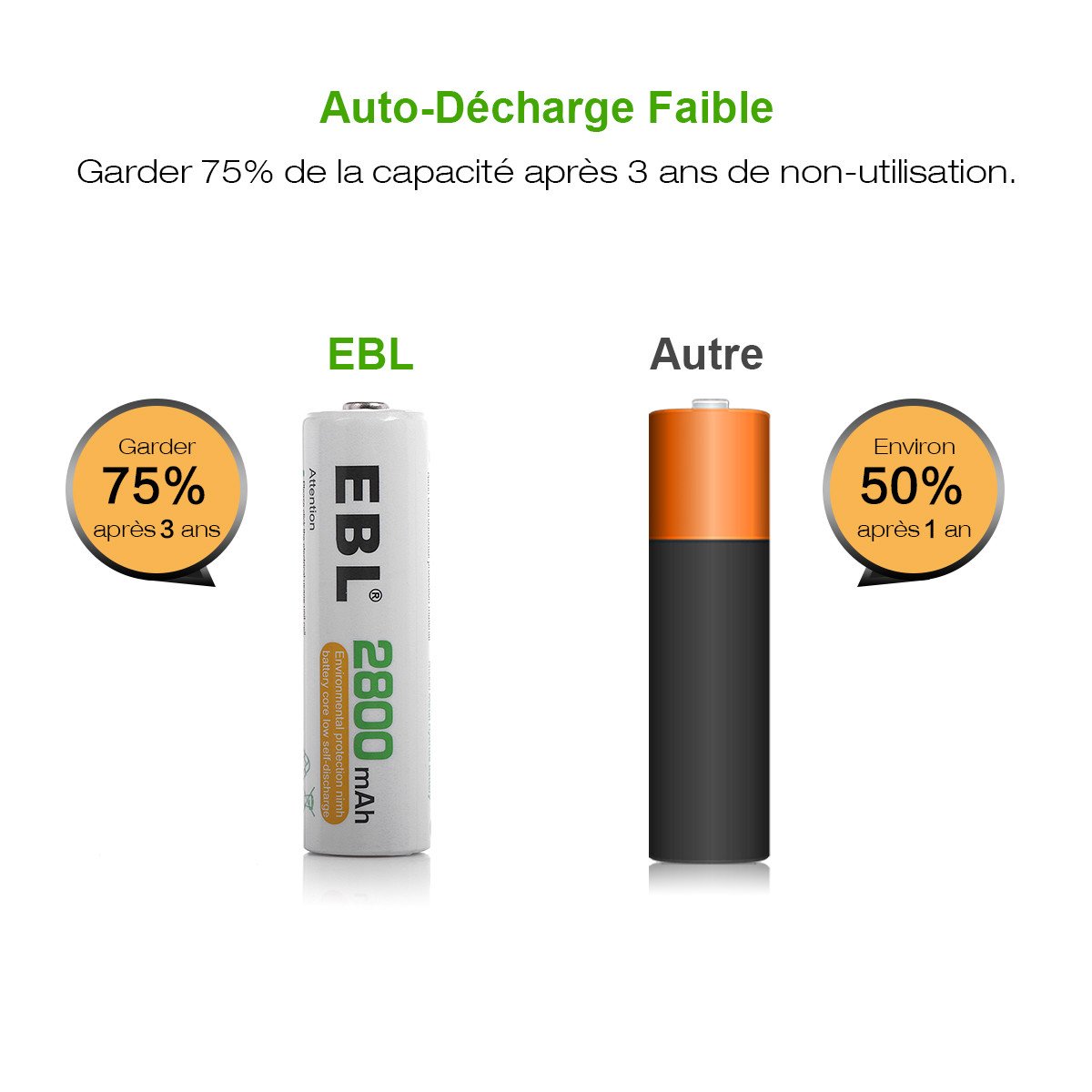 EBL 16pcs Piles AA Rechargeables 2800mAh Ni-MH avec Boîte de Stockage