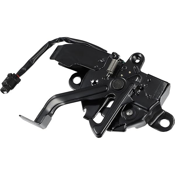 Amazon.com: OE Replacement Toyota Camry Passenger Side Hood Hinge 