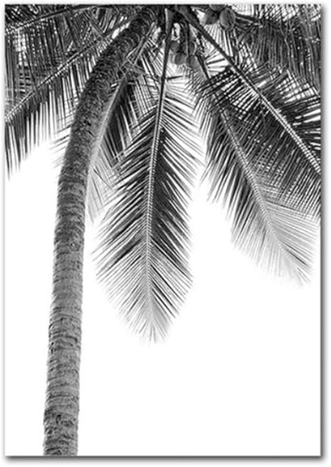 Sclposter Poster Schwarz Und Weiss Kokospalme Leinwand Gemalde