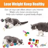 Speedy Panther 21Pcs Cat Toys Collapsible Tunnel Interactive Wand Ball Feather view 6