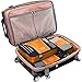 eBags Classic Packing Cubes for Travel - 6pc Value Set - (Tangerine)