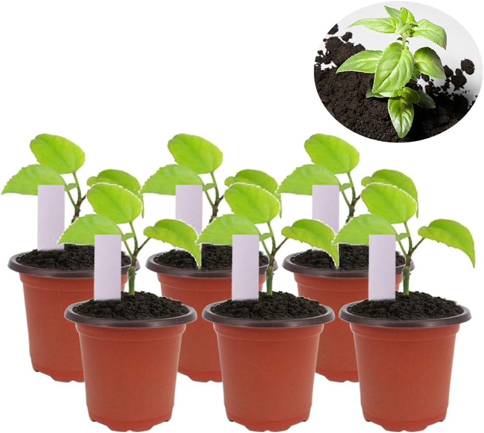 Huvai 100 Pcs 4" (10CM ) Plastic Seedlings Plants Nursery Pots with 100 Pcs Waterproof Plastic Plant Tags and 2Pcs/Set Transplanting Digging Mini Tools - Image 4
