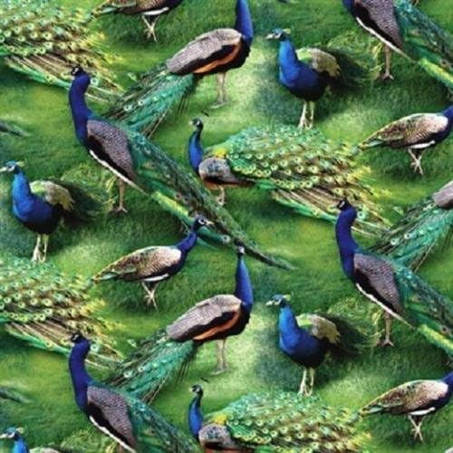 Fat Quarter Wild Wings Pagent Of Color Peacocks 100% Cotton Quilting Fabric