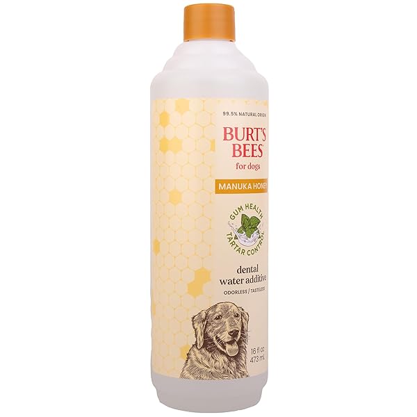 BURT’S BEES FOR PETS DENTAL WATER ADDITIVE FOR DOGS WITH MANUKA HONEY FOR GUM HEALTH & TARTAR CONTROL, NO BRUSHING REQUIRED, 99.5% NATURAL ORIGIN FORMULA, ODORLESS & FLAVORLESS, 16 FL OZ