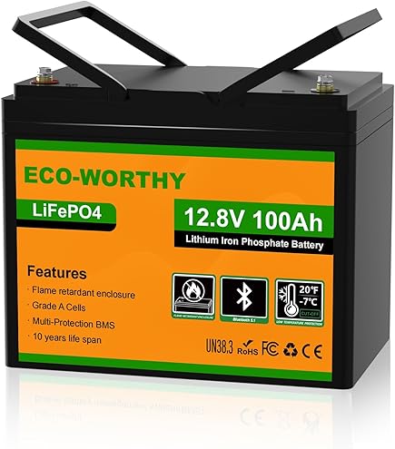 2 Packs 12V 100Ah Mini Max LiFePO4 Battery 100A BMS 1280Wh Lithium
