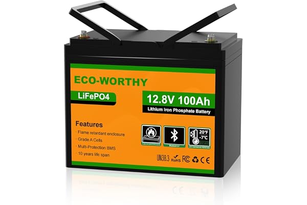 ECO-WORTHY 12V 100Ah LiFePO4 Lithium Battery, Bluetooth & Low-Temp Protection, Group 24 with 100A BMS, Up to 15000+ Deep Cycl