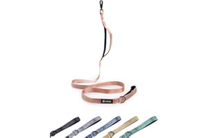 2025 New Edition, Fei & Eve Classic Dog Leash - 4FT, Blush-New