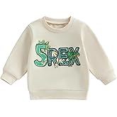WZTYYDS Toddler Kids Boy Girl Birthday Sweatshirt Dinosaur Birthday Shirts Dino B-Day Party Pullover Tops Baby Spring Clothes