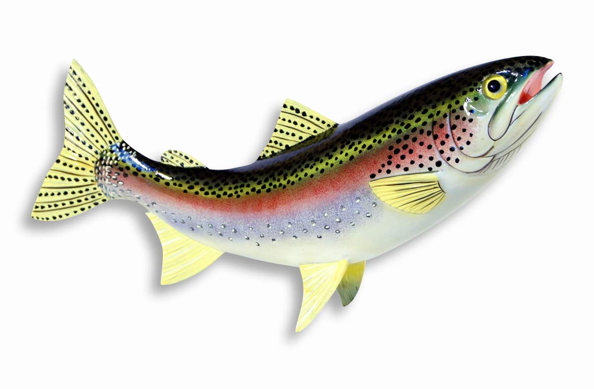 XL Handpainted Rainbow Trout Statue Game Fish Replica 18"